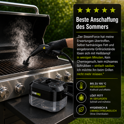 SteamForce - Der kompakte Hochtemperatur-Dampfreiniger