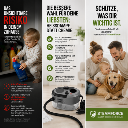 SteamForce - Der kompakte Hochtemperatur-Dampfreiniger